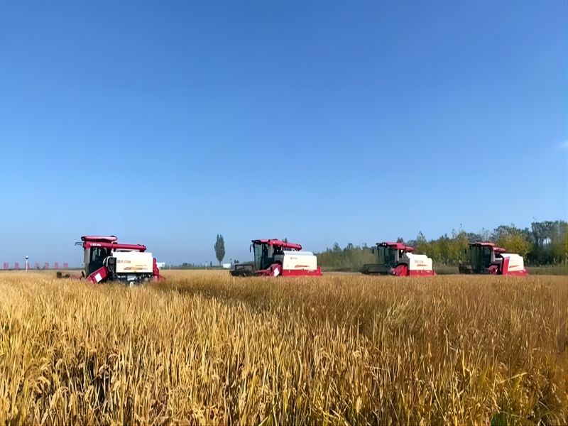 Rice Harvester Combine