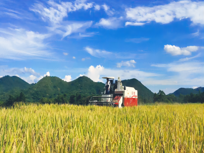 Combine Harvester Machine